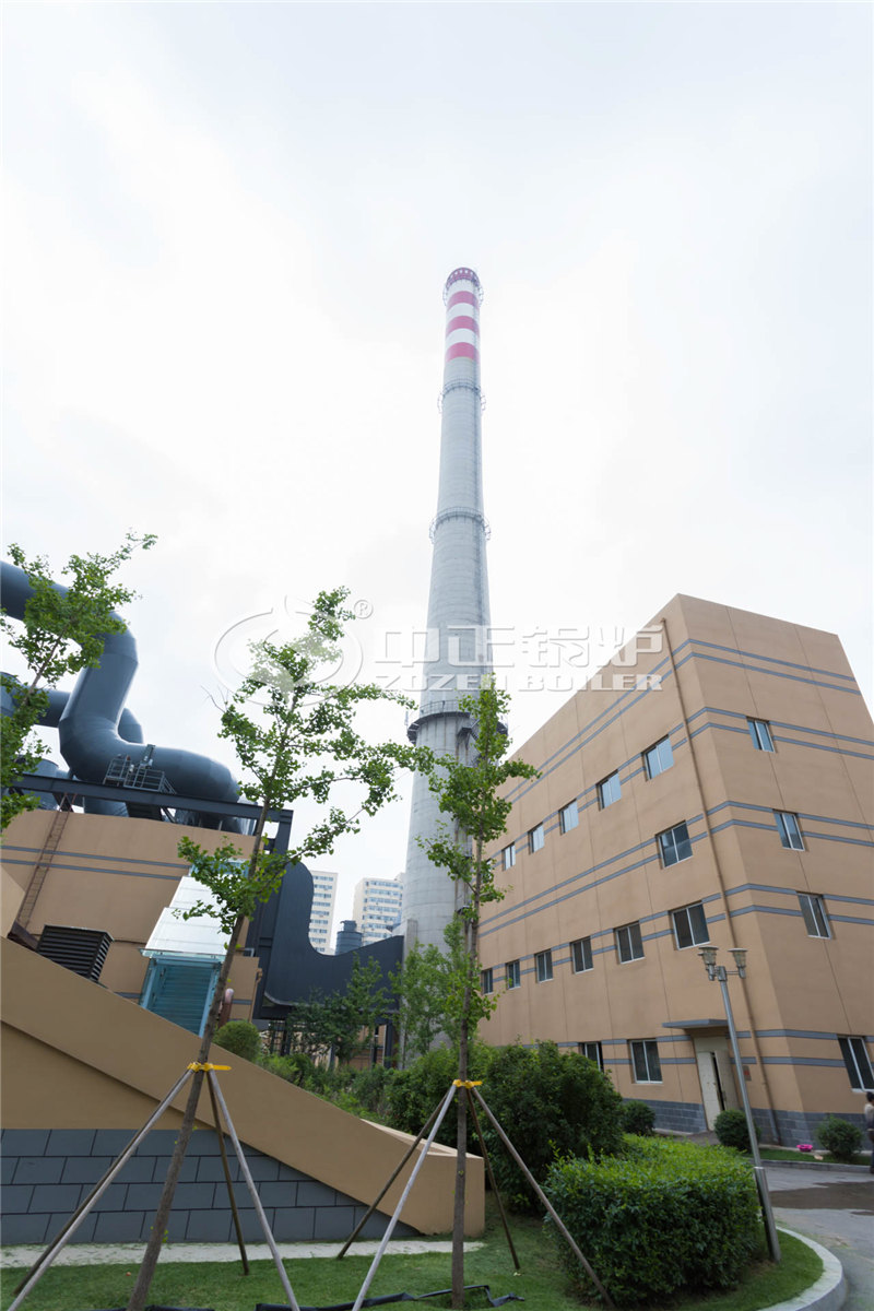 6T燃生物質(zhì)導熱油爐合適價位