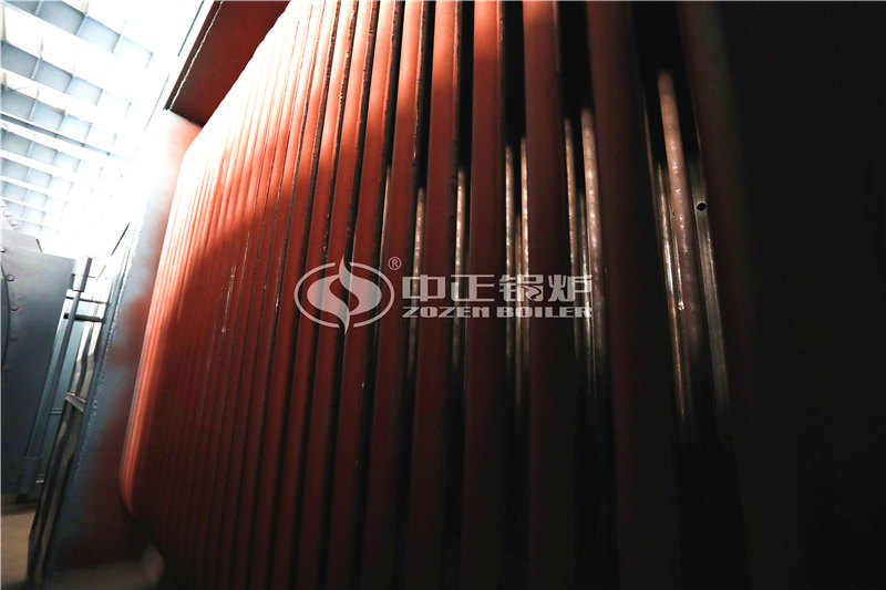 15T燃生物質(zhì)導(dǎo)熱油鍋爐出廠價
