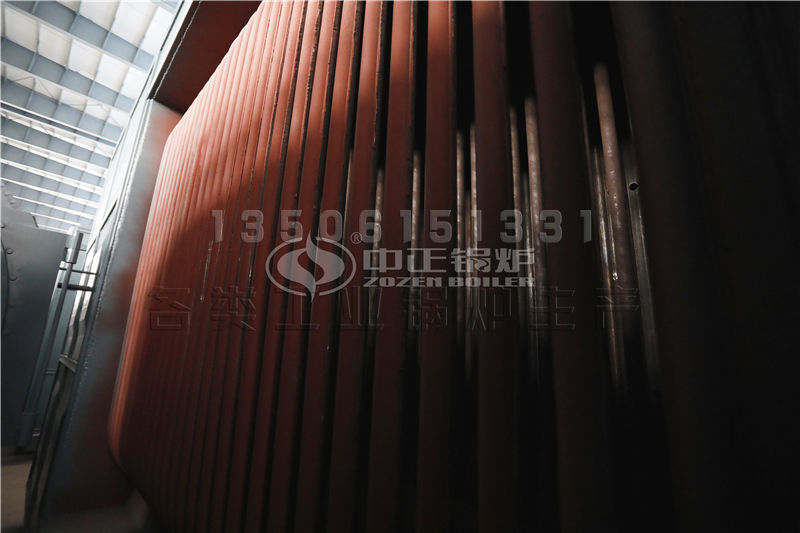 江蘇生物質(zhì)導(dǎo)熱油鍋爐供應(yīng) 導(dǎo)熱油鍋爐誰家性能好，價(jià)格合理?